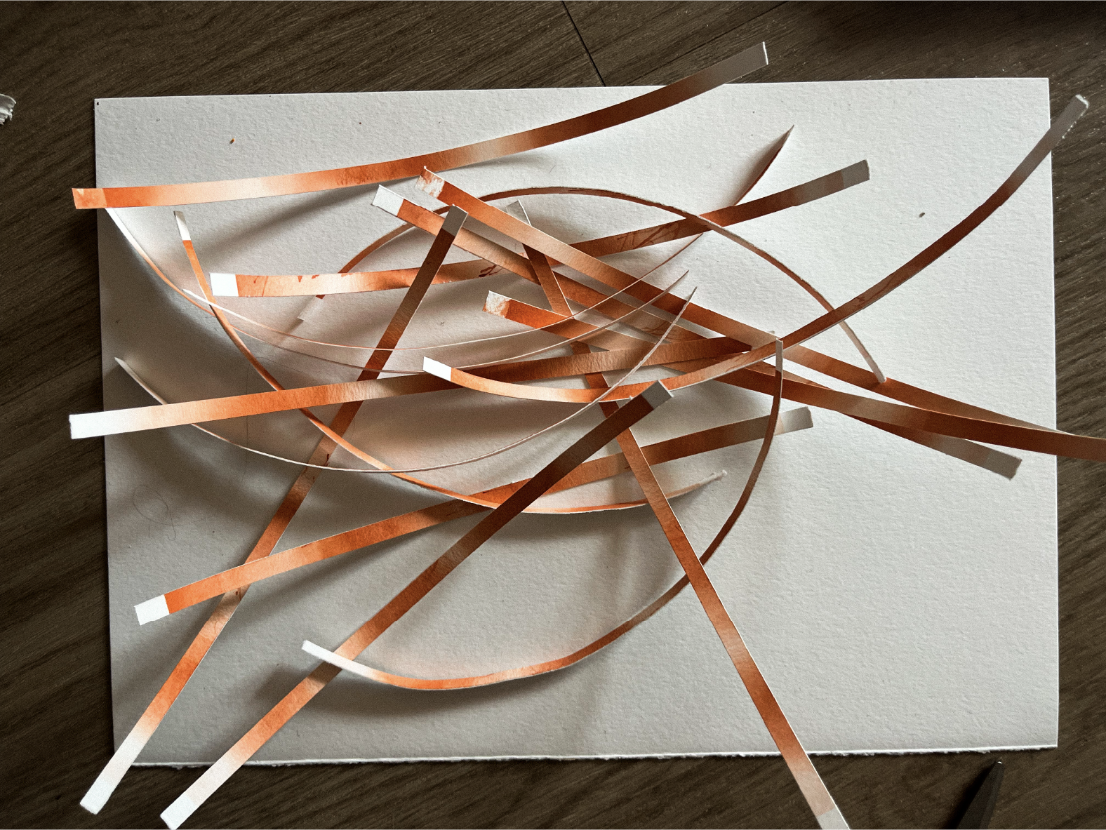 Business cards bundle