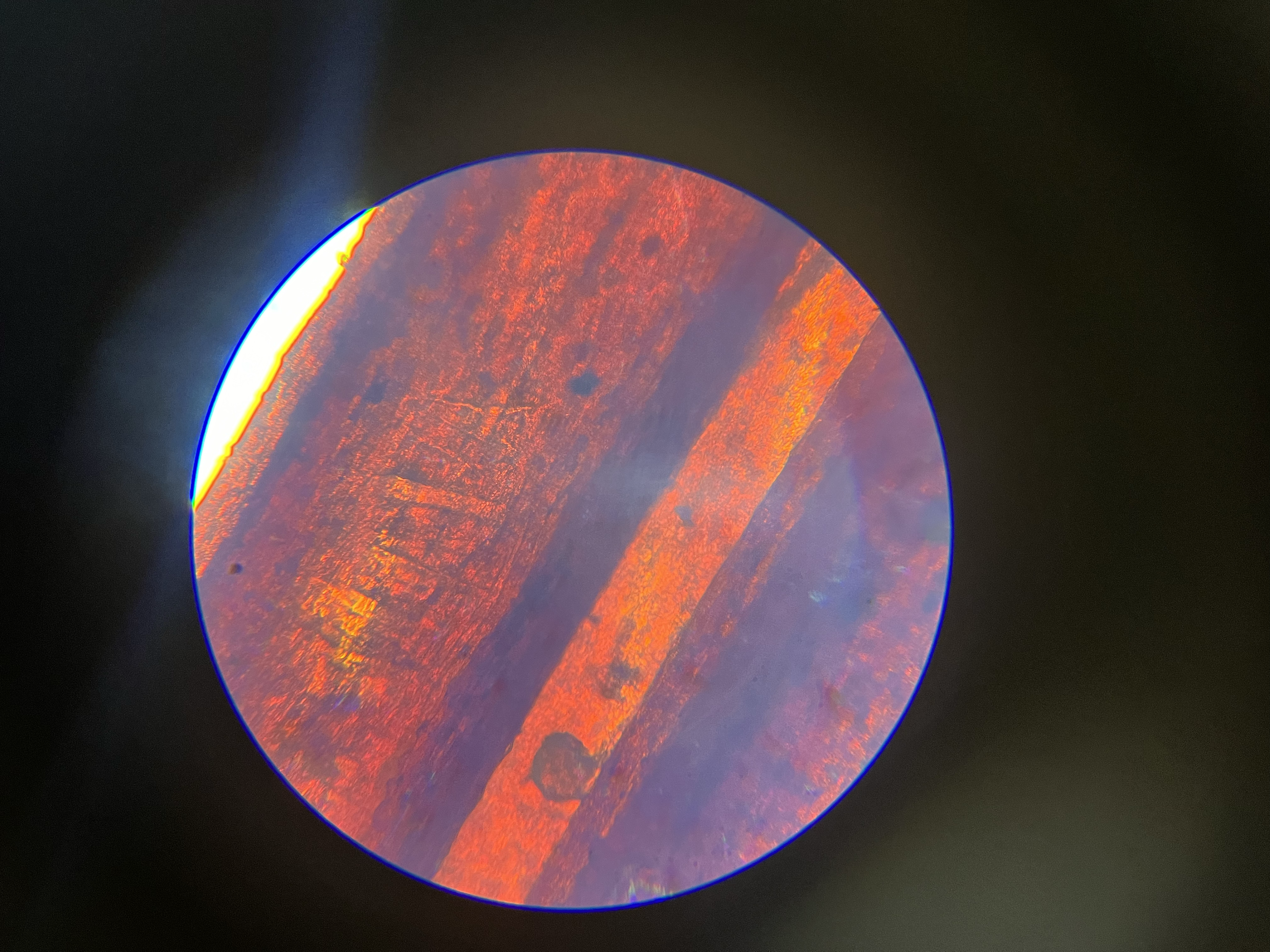 Business cards bundle